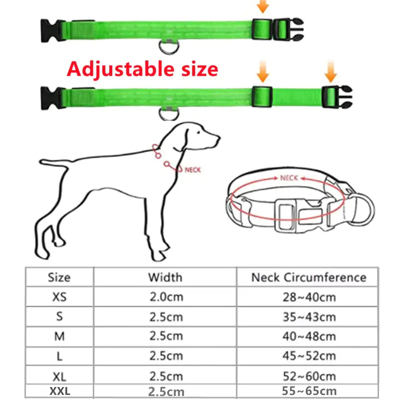 Luminous LED Pet Collar