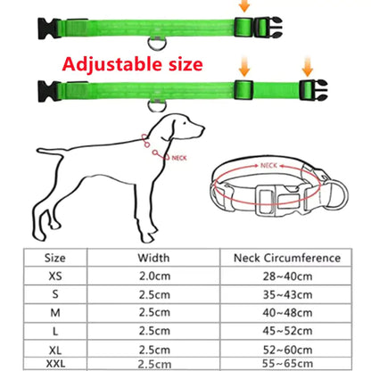 Luminous LED Pet Collar