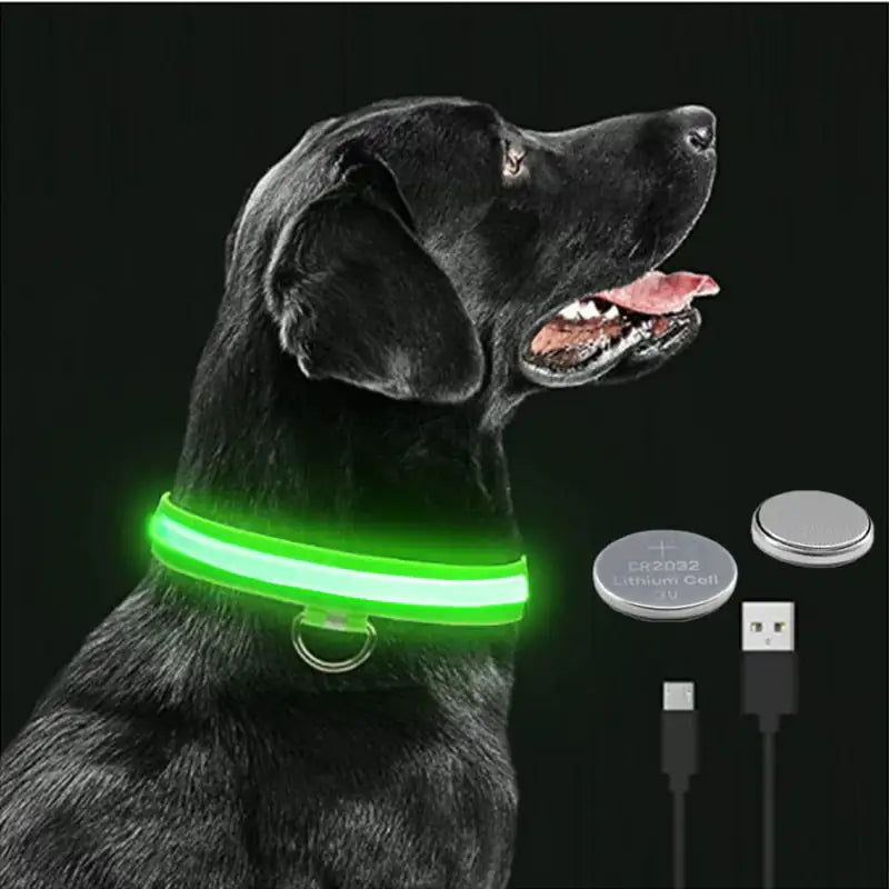 Luminous LED Pet Collar