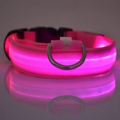 Luminous Dog Collar