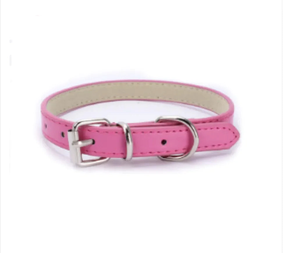 Dog Collar