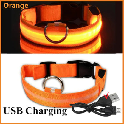 Luminous LED Pet Collar