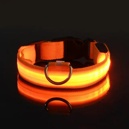 Luminous Dog Collar