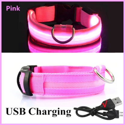 Luminous LED Pet Collar