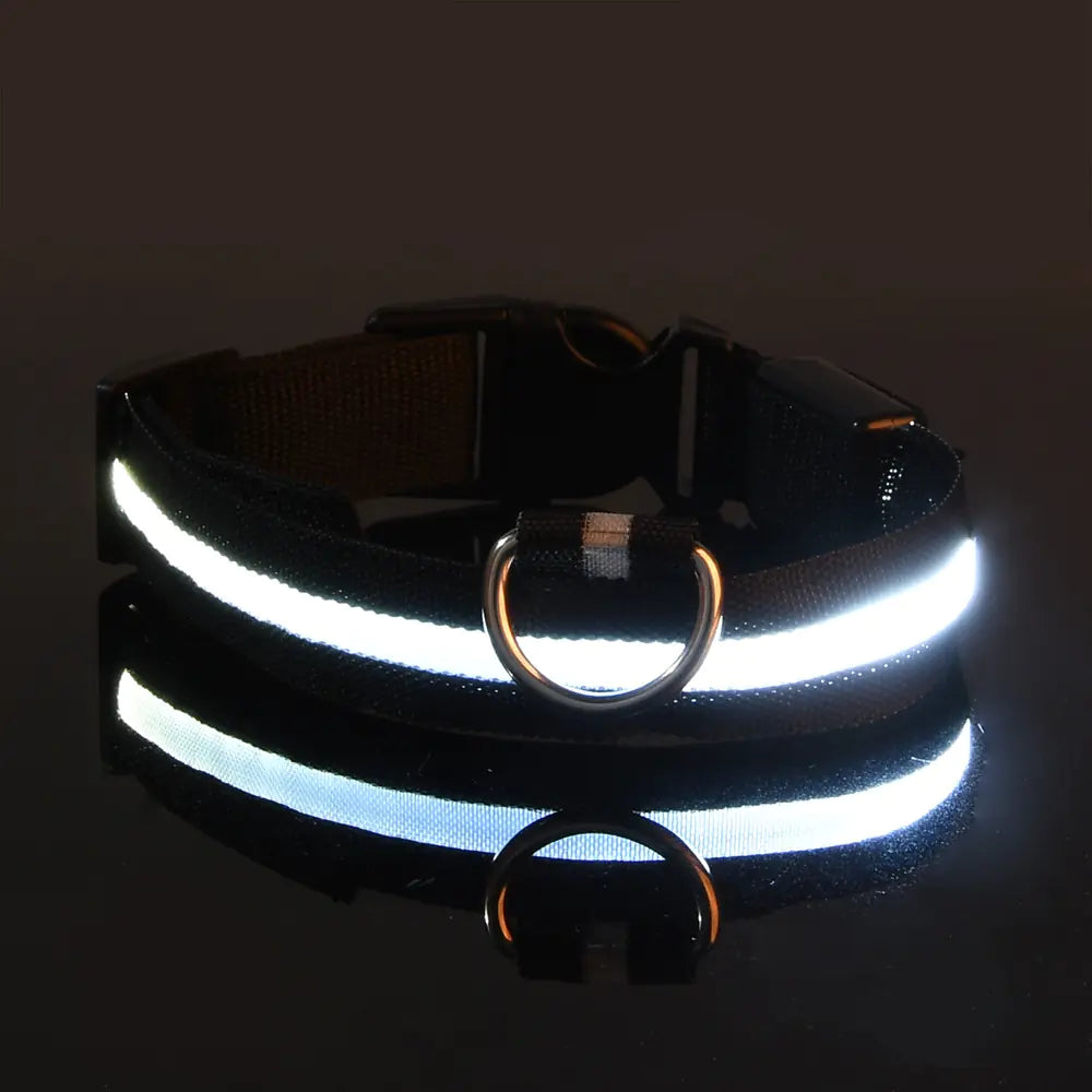 Luminous LED Pet Collar