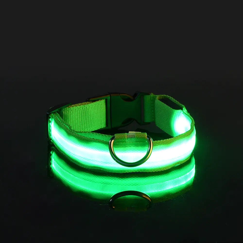 Luminous LED Pet Collar