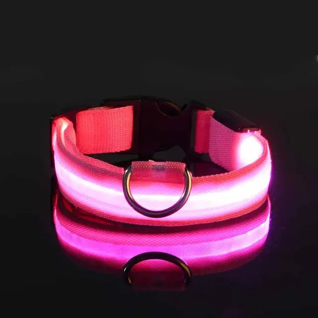 Luminous Dog Collar