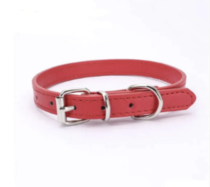 Dog Collar