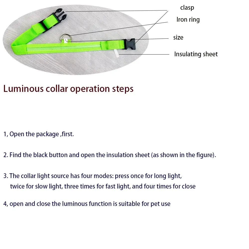 Luminous Dog Collar