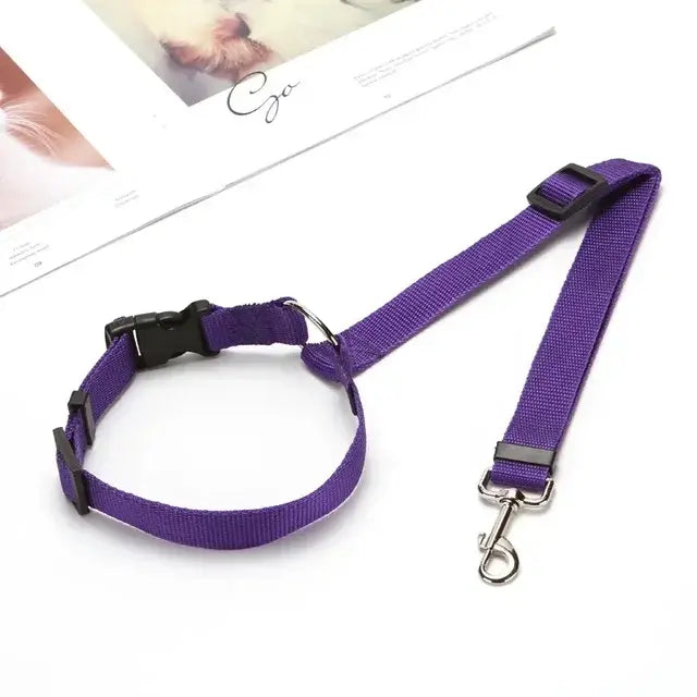 Pet Car Seat Belt & Harness Safety And Style