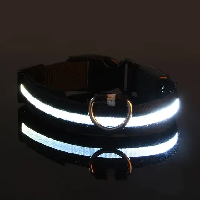 Luminous Dog Collar