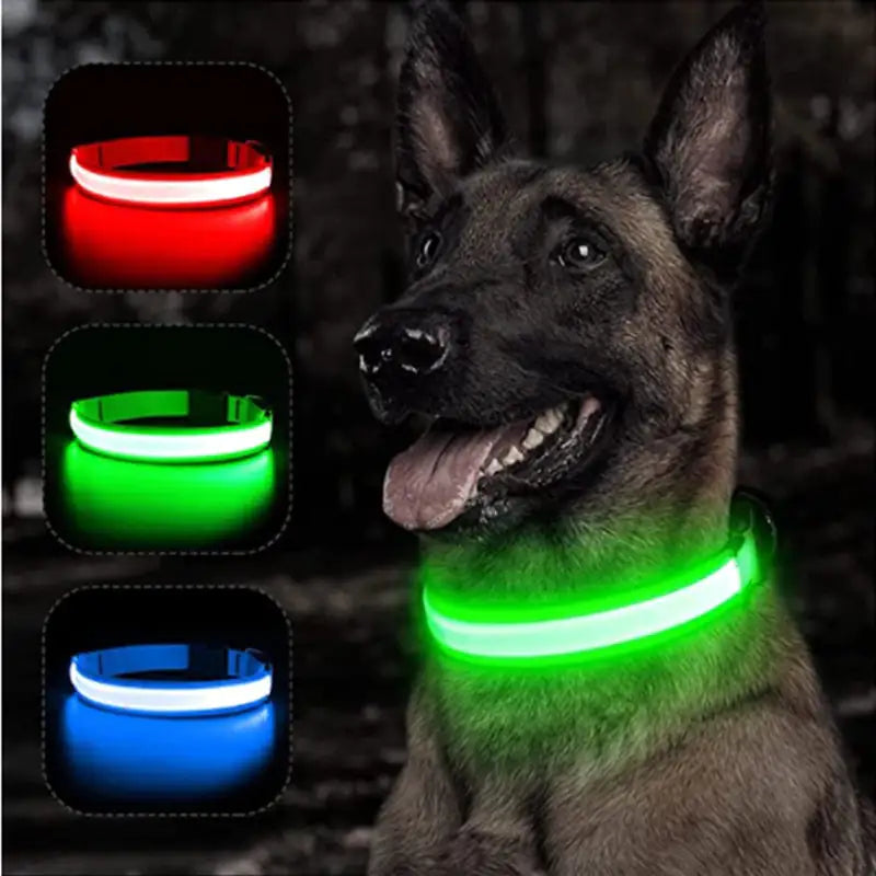 Luminous LED Pet Collar