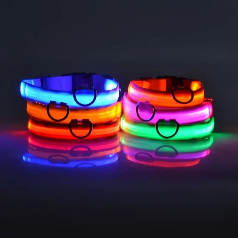 Luminous Dog Collar