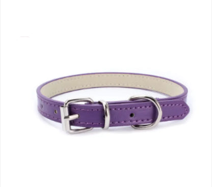 Dog Collar