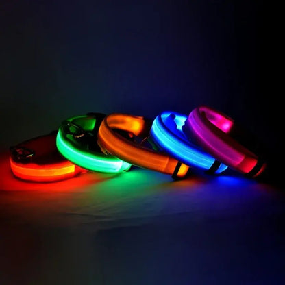 Luminous Dog Collar