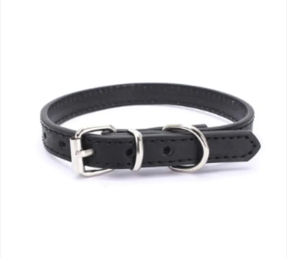 Dog Collar