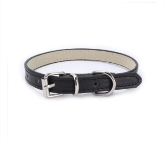 Dog Collar