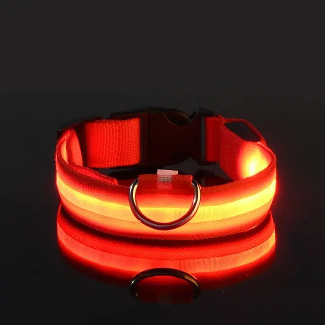 Luminous Dog Collar