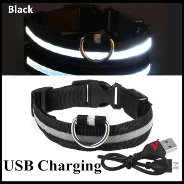 Luminous LED Pet Collar