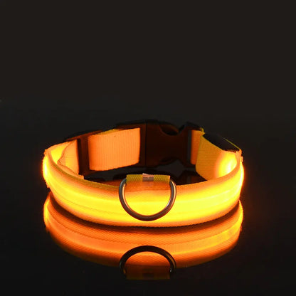 Luminous LED Pet Collar