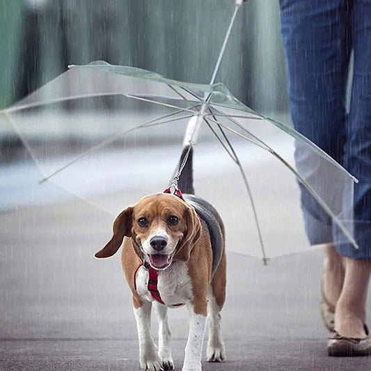 Pet Umbrella Leash