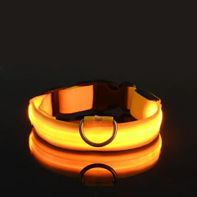 Luminous Dog Collar