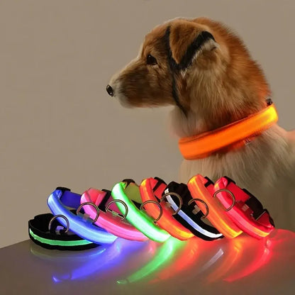 Luminous Dog Collar