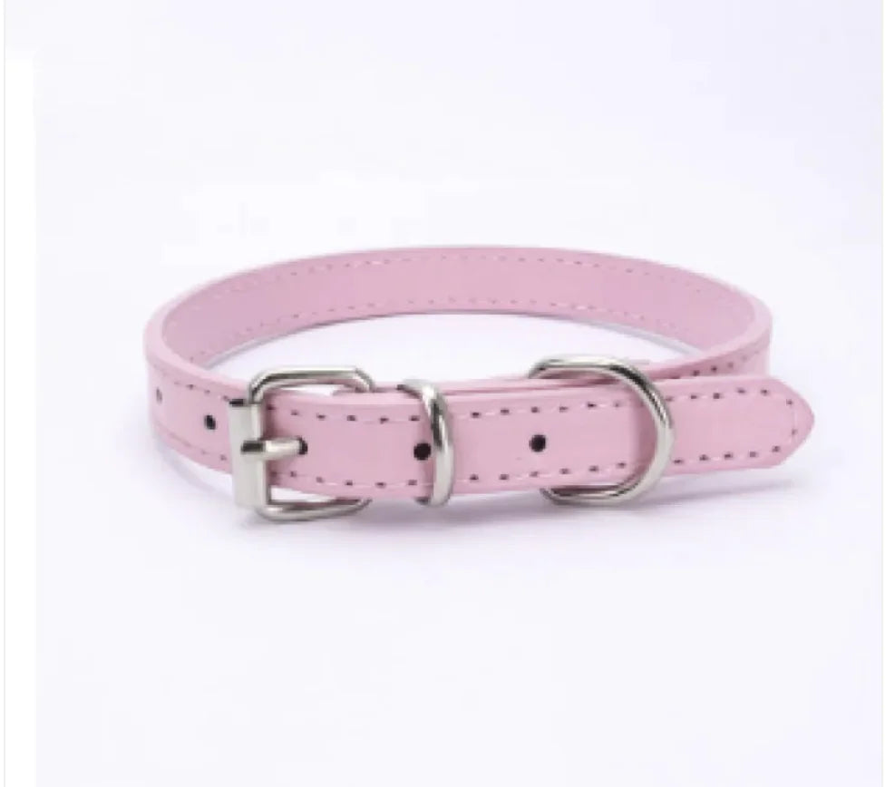 Dog Collar