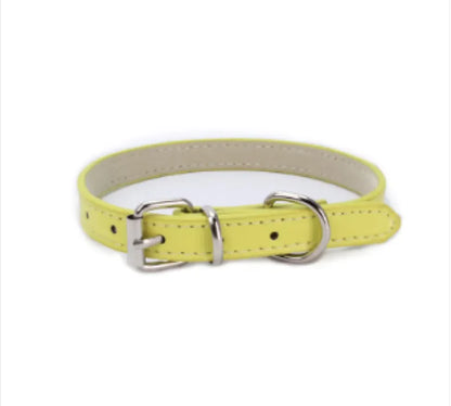 Dog Collar