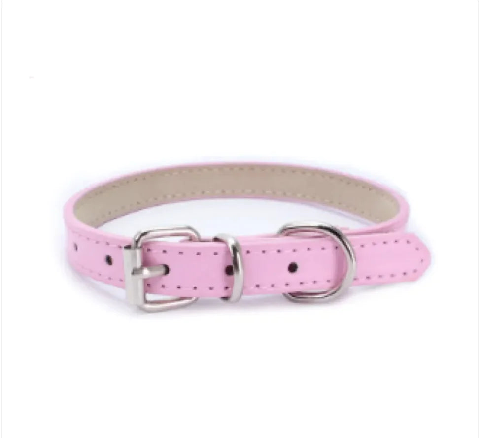 Dog Collar