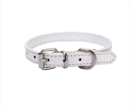 Dog Collar